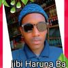 djibi.harouna.ba