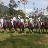 quinuamayo