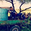motshereganyi_moloko