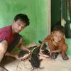 alendang14