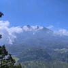 prasettya_2205