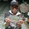 quoc.62