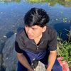 thefir1184