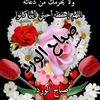 ابو زياد
