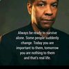 safiasafi_2023