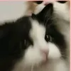 janis5664