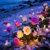 .mayabi.pori1