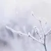strangethereader11