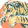 tll19554