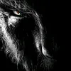 wsfmmwolf