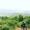 deram_28