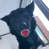 latyery
