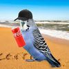 user12345ert8