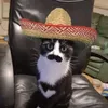 gatos_arabes