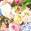 wdhzdh463534611