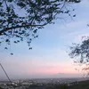 ardancandra2