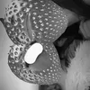 bellasbackupxx