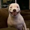 user79594vrlxe