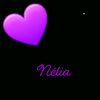 nlia.bouazza