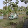 cheblonk87