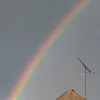 sirius_et_mina