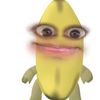 sebadevs