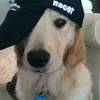 bobr_offf
