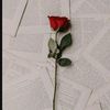 lamis_yasser_2