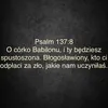 surielurielpl