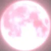 darlinpinkroses