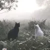 _aya_aya13