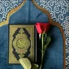 nor.houda36