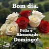 jose.5474