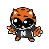 mtsflashy