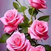daymiyan33