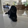 sebastian_5343