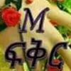 mesfinlemma251