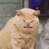 gnrlconfused