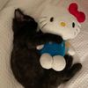 ig_fluffyshy