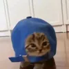 bibih_.z