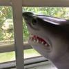 fake_sharkpuppet2712