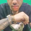 endjile_le_roi_lion_offi