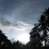 qurrotulilzamiyah
