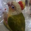 abdelrahman.810