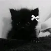 kitty_t3n91