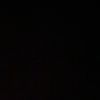 floreanicaa_