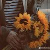 m_ell_saaz7
