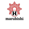 marubishi384