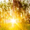 kuba_1809