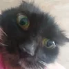 __.cats.are.the.best.__